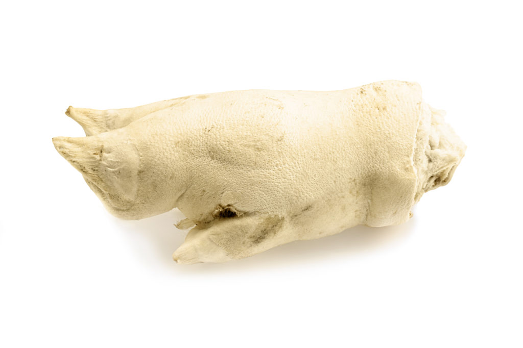 Pig's foot puffed realpetfood.be